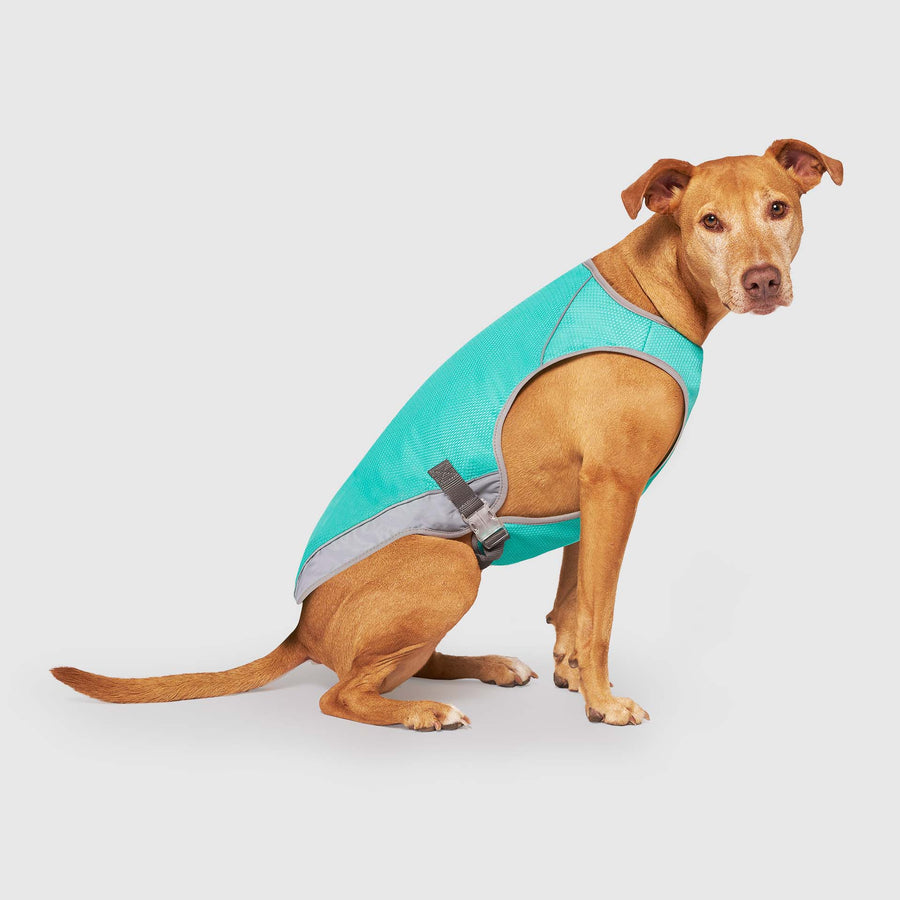 Chill Seeker Cooling Vest Wet Reveal - Refined Catalog